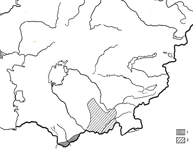 Хоросанская агама (1), туркестанская агама (2)