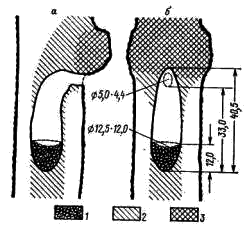 Схема устройства гнездового дупла седого дятла (Picus canus)