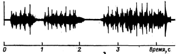 Осциллограмма голоса птенца черного аиста (Ciconia nigra) в возрасте около двух месяцев