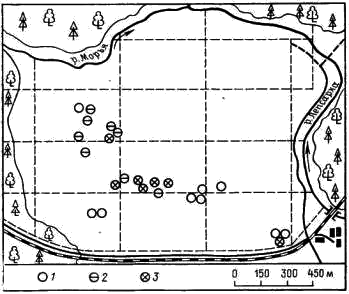 Характер поселения ястребиных славок (Sylvia nisoria) в однородном биотопе на зарастающих покосах у д. Лепсари (Всеволожский р-н